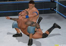 Load image into Gallery viewer, Smackdown Vs. Raw 2011
